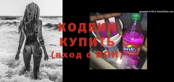 прущие грибы Красноперекопск