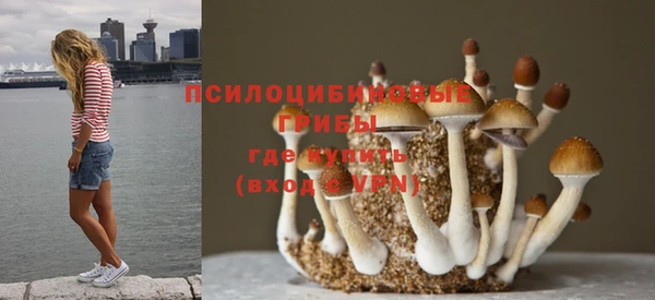 сатива Краснослободск