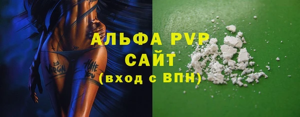 сатива Краснослободск
