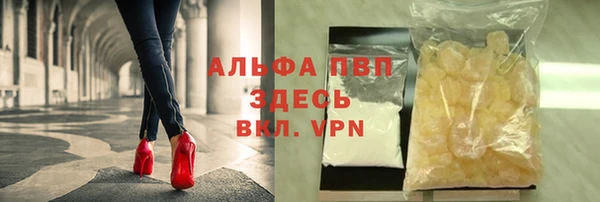 мяу мяу мука Абаза