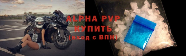 прущие грибы Красноперекопск