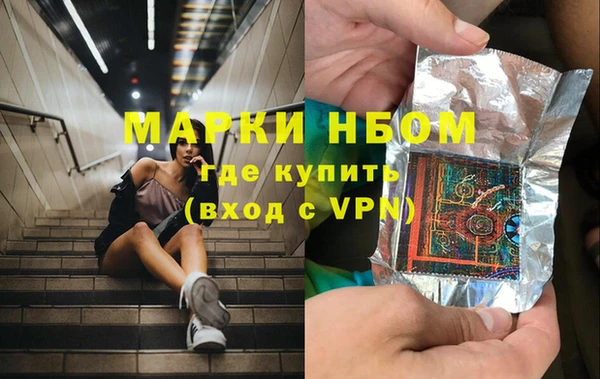 сатива Краснослободск