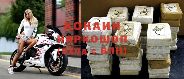 прущие грибы Красноперекопск