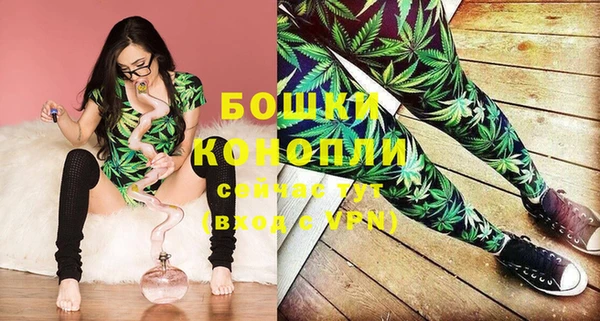 прущие грибы Красноперекопск