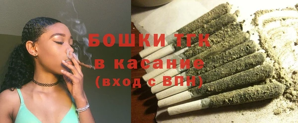 твердый Михайловск